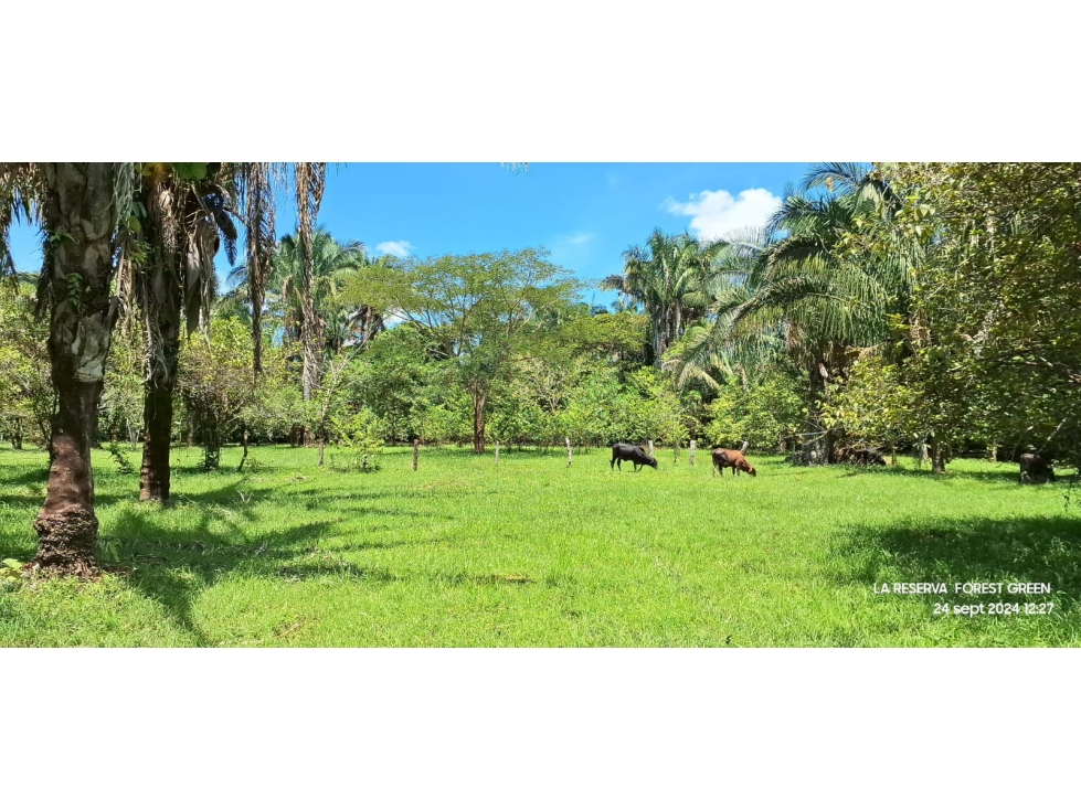 SE VENDE ESPECTACULAR LOTE UBICADO EN LA VEREDA EL PICÓN - 3