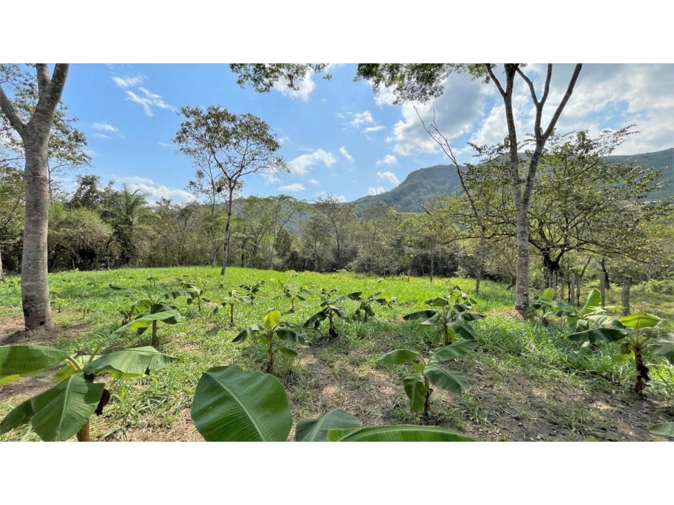 SE VENDE FINCA CAMPESTRE. - 3