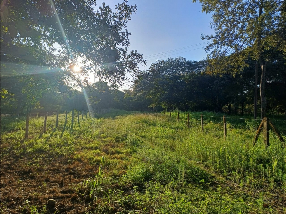 SE VENDE LOTE CAMPESTRE VIA MATEPANTANO A SIRIVANA — foto 3
