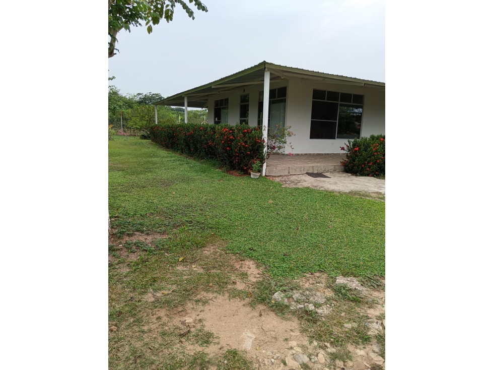 SE VENDE FINCA VIA MARGINAL DE LA SELVA-CERCA A LA CHAPARRERA - 2