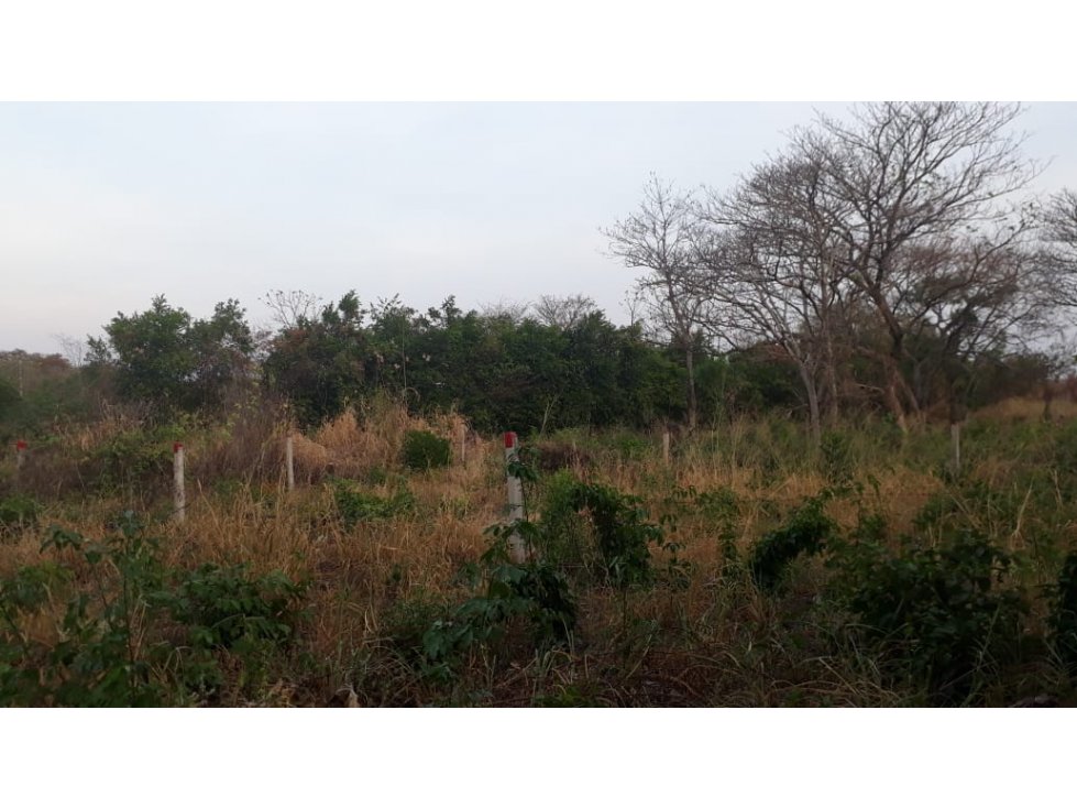 SE VENDEN LOTES BOSQUES DE GUARATAROS - 4