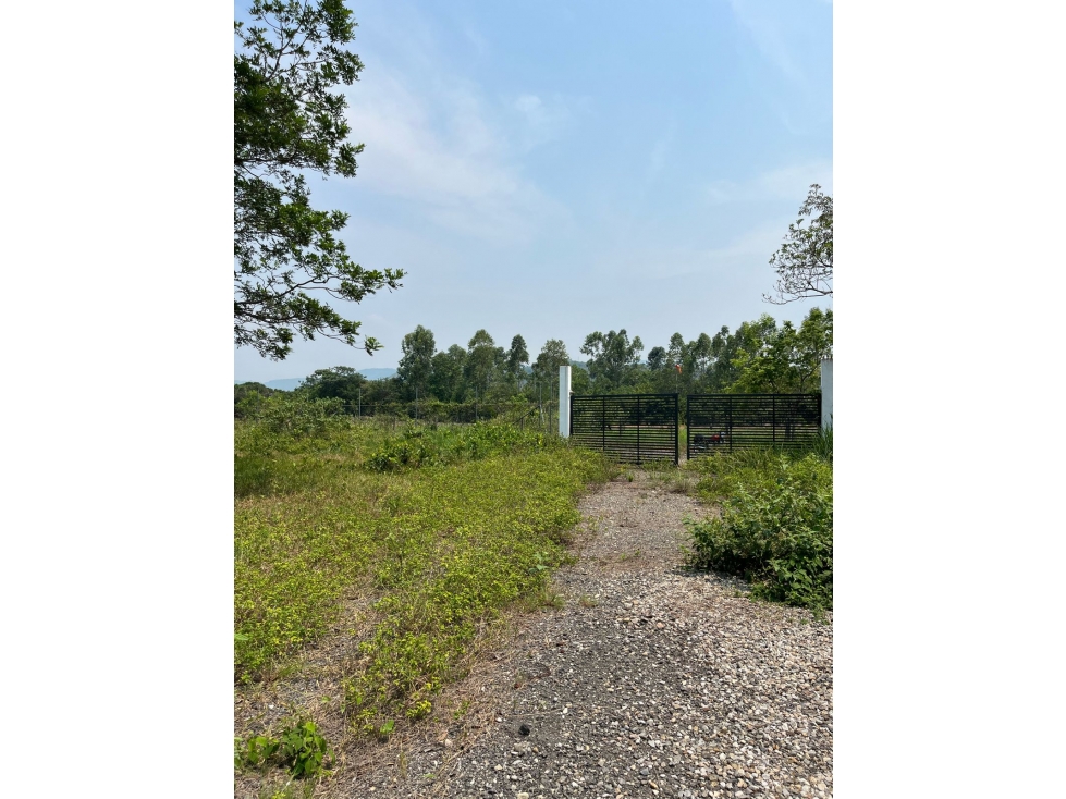 SE VENDE LOTE EN LA VEREDA PALOBAJITO - 1