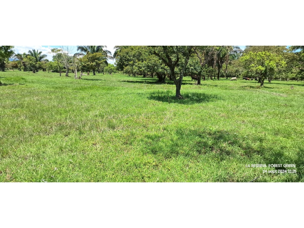 SE VENDE ESPECTACULAR LOTE UBICADO EN LA VEREDA EL PICÓN - 4