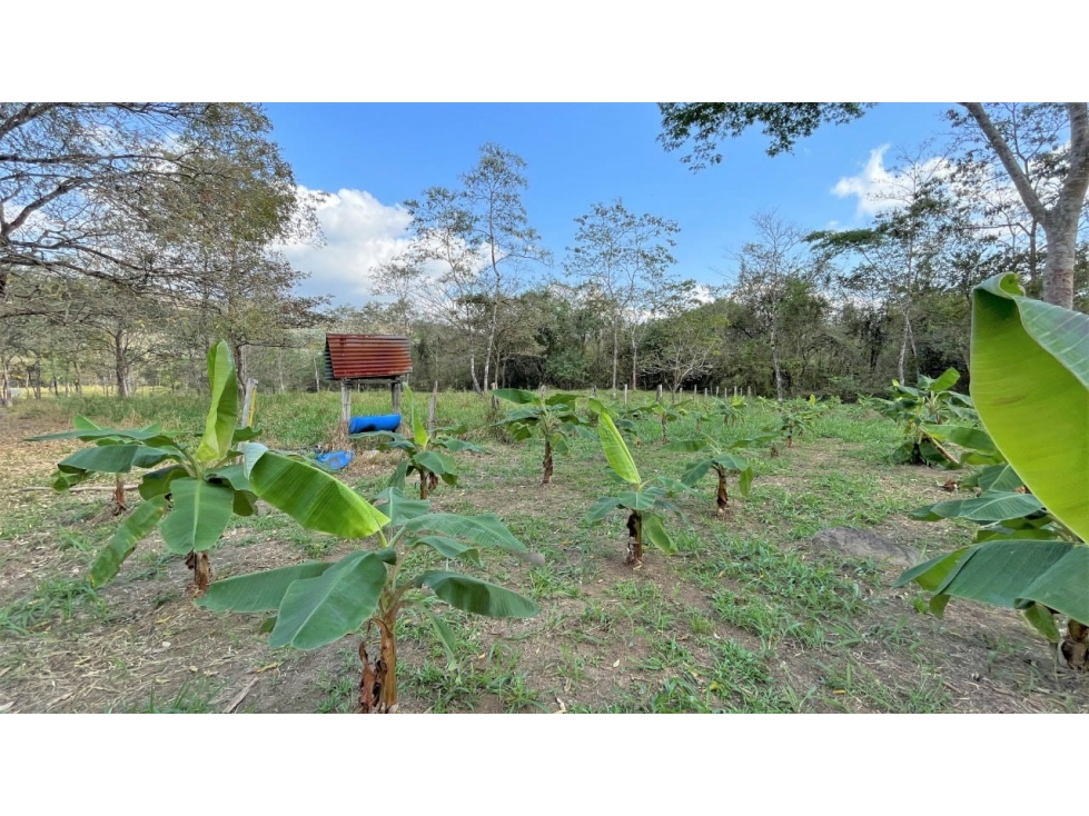 SE VENDE FINCA CAMPESTRE. - 4