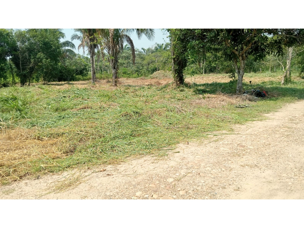 SE VENDE ESPECTACULAR LOTE EN CONDOMINIO CAMPESTRE VILLAS DEL PALMAR — foto 4