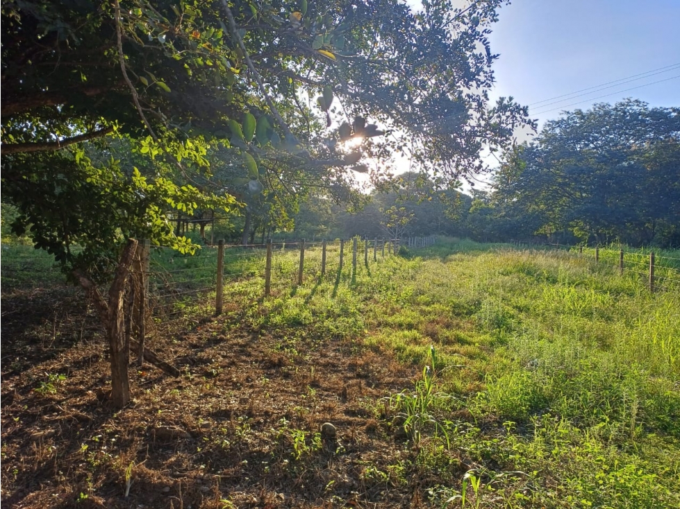 SE VENDE LOTE CAMPESTRE VIA MATEPANTANO A SIRIVANA — foto 4