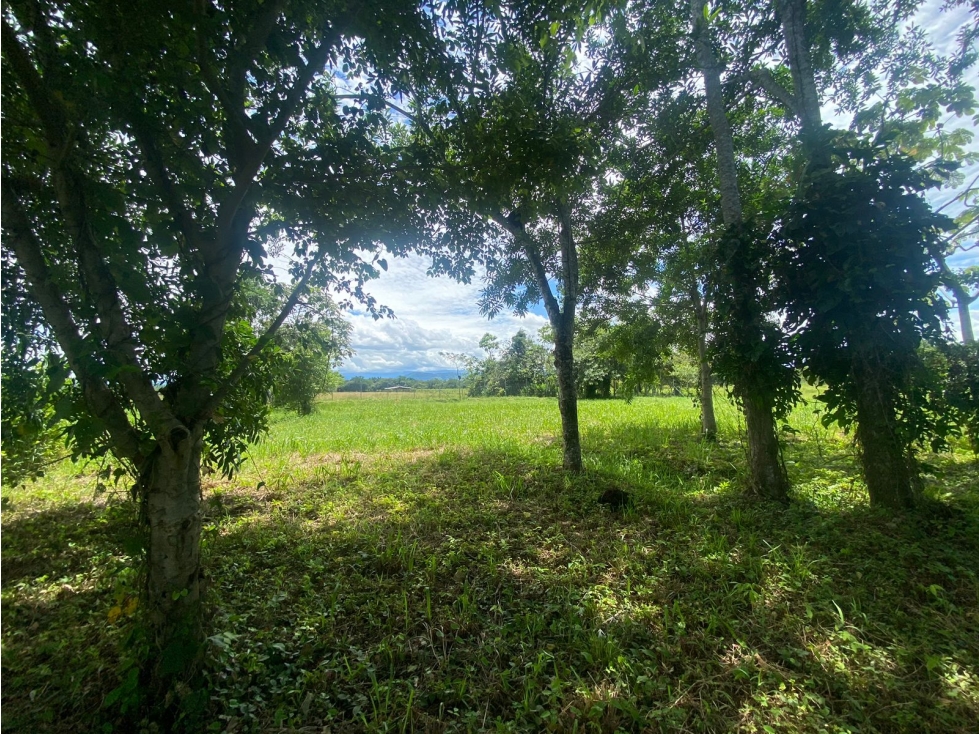 SE VENDE LOTE EN CONDOMINIO TURPIALES YOPAL/CASANARE