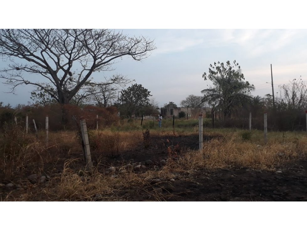 SE VENDEN LOTES BOSQUES DE GUARATAROS - 5