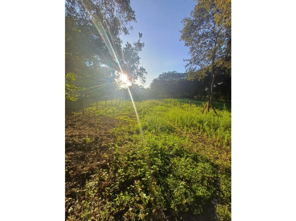 SE VENDE LOTE CAMPESTRE VIA MATEPANTANO A SIRIVANA — foto 5