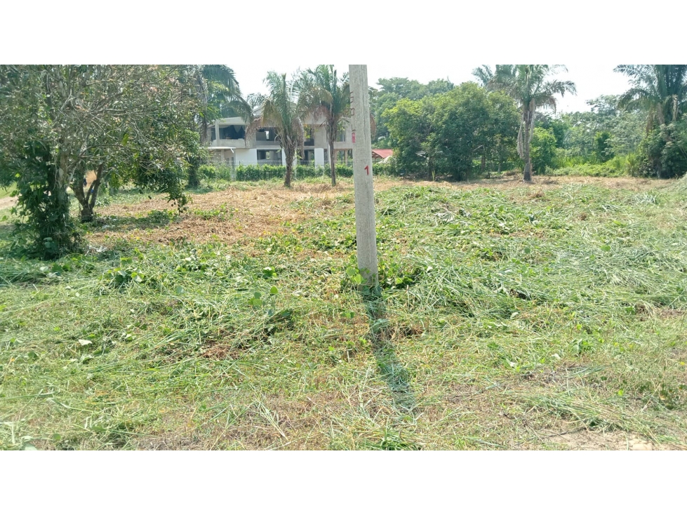 SE VENDE ESPECTACULAR LOTE EN CONDOMINIO CAMPESTRE VILLAS DEL PALMAR — foto 6