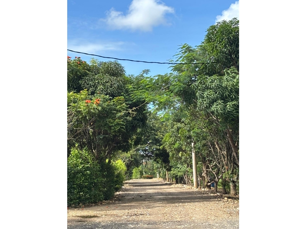 SE VENDE LOTE EN EL CONJUNTO PRADOS DE SANTA LUCÍA — foto 6