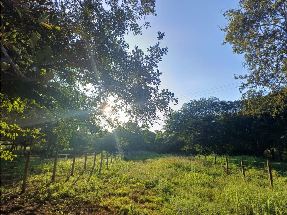 SE VENDE LOTE CAMPESTRE VIA MATEPANTANO A SIRIVANA — foto 6
