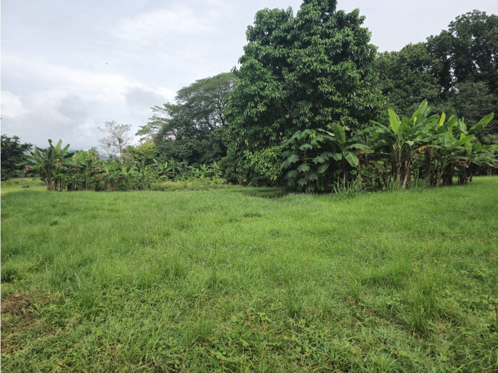 VENTA DE CASA CON FINCA EN CAMPANA — foto 3