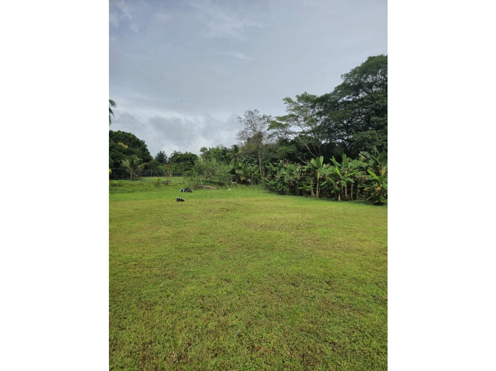 VENTA DE CASA CON FINCA EN CAMPANA — foto 6