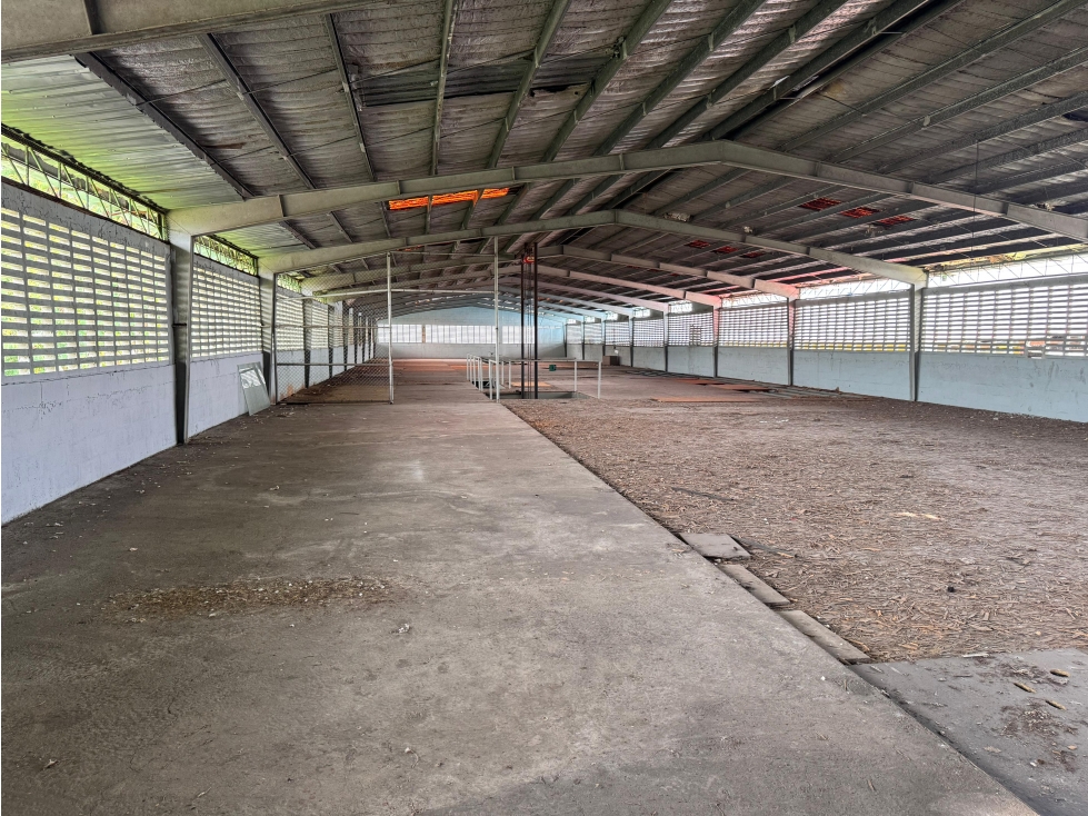 VENTA GALERA EN RIO ABAJO (EC) — foto 2