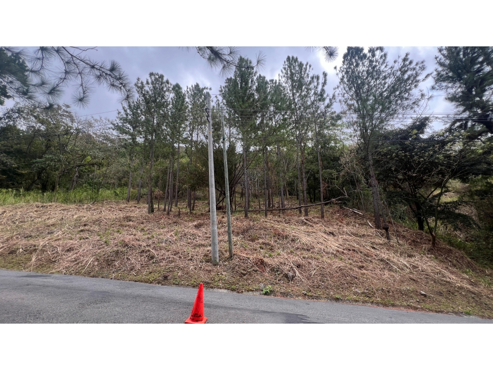 Venta de Terreno en Altos del Maria