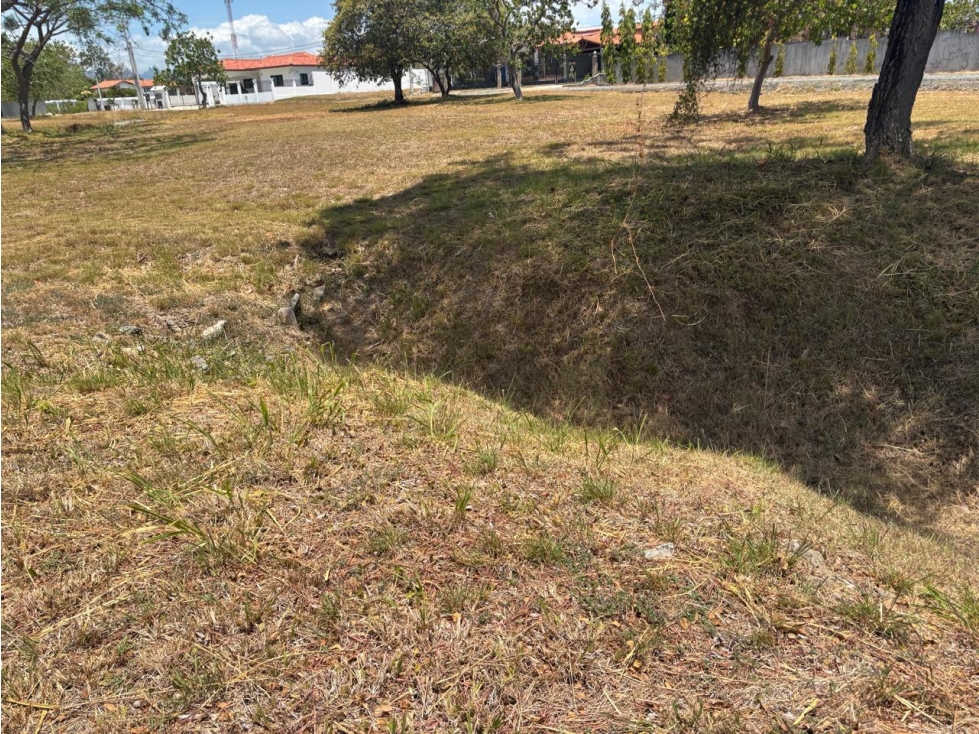 Venta de 2 terrenos en Palmeras del Este, Coronado
