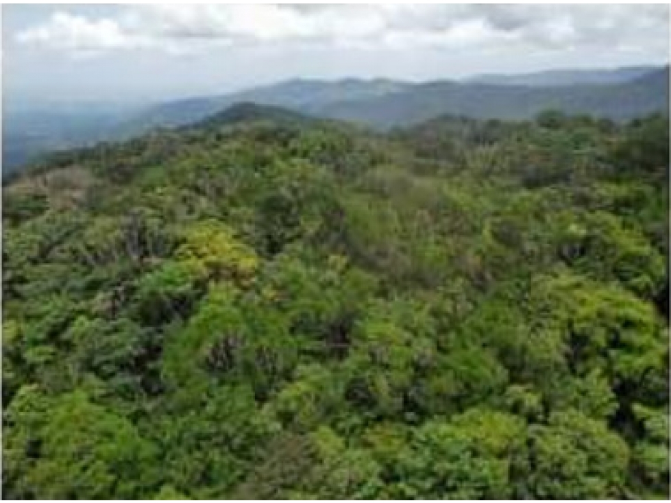 Venta de Terreno en pacora, Utivé Panamá - 4