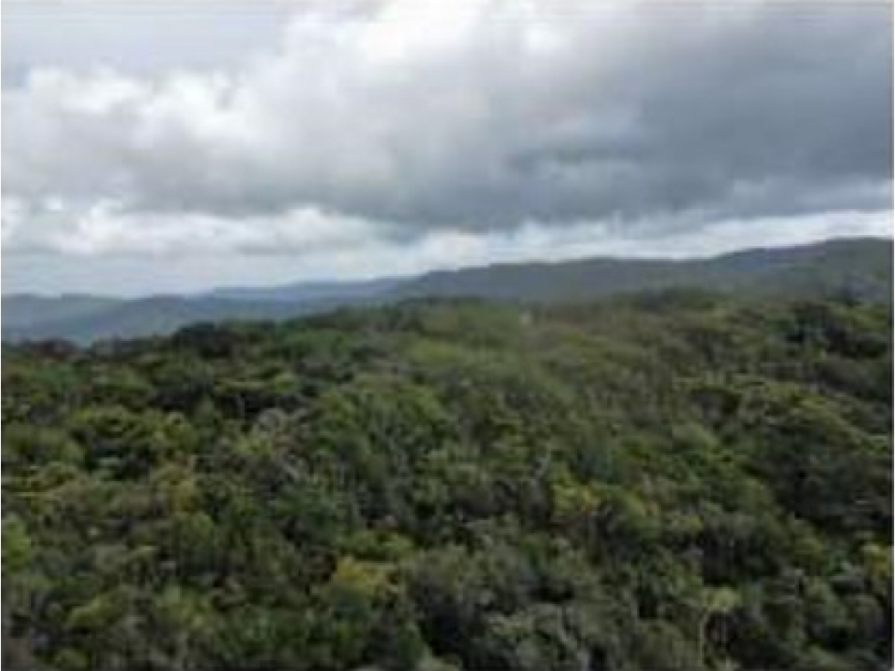 Venta de Terreno en pacora, Utivé Panamá - 6