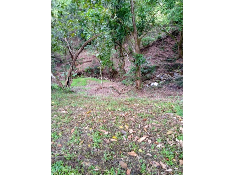 En venta lote en San Jerónimo, excelente ubicación - 4