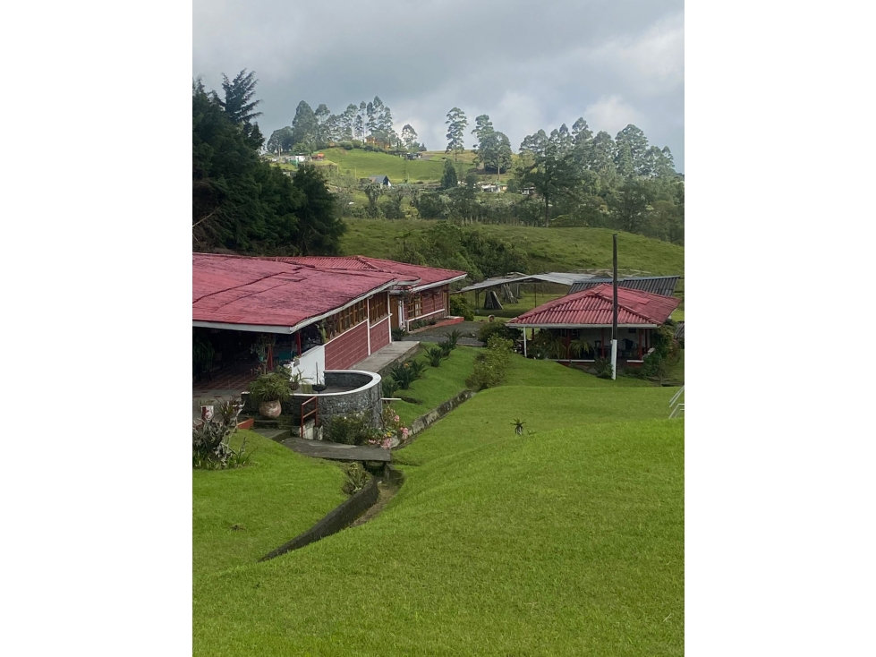 VENDO ESPECTACULAR FINCA HOTEL EN UN HERMOSO SITIO CERCA A PEREIRA — foto 3