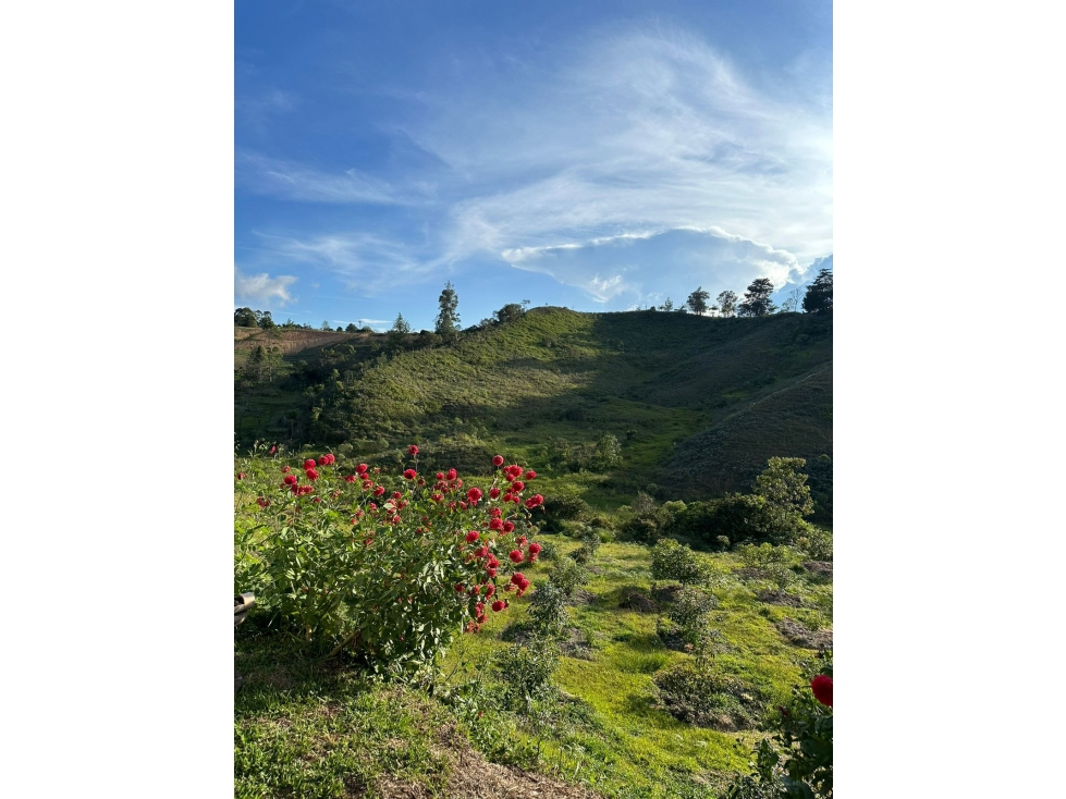 Venta de lote en Rionegro, sector La Porquera — foto 5
