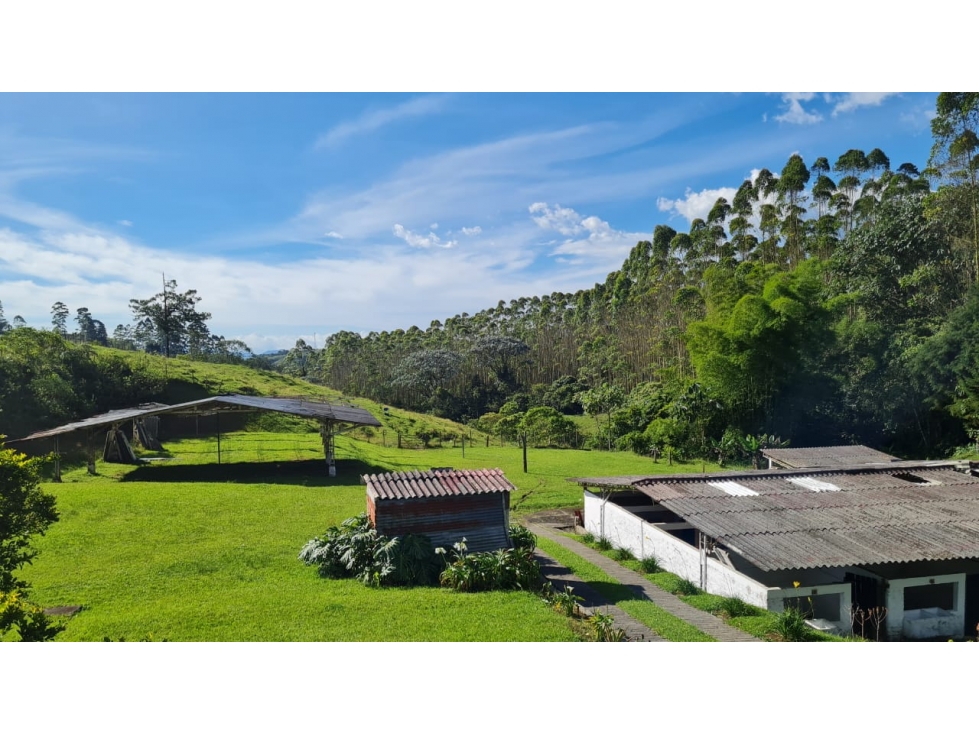 VENDO ESPECTACULAR FINCA HOTEL EN UN HERMOSO SITIO CERCA A PEREIRA — foto 6