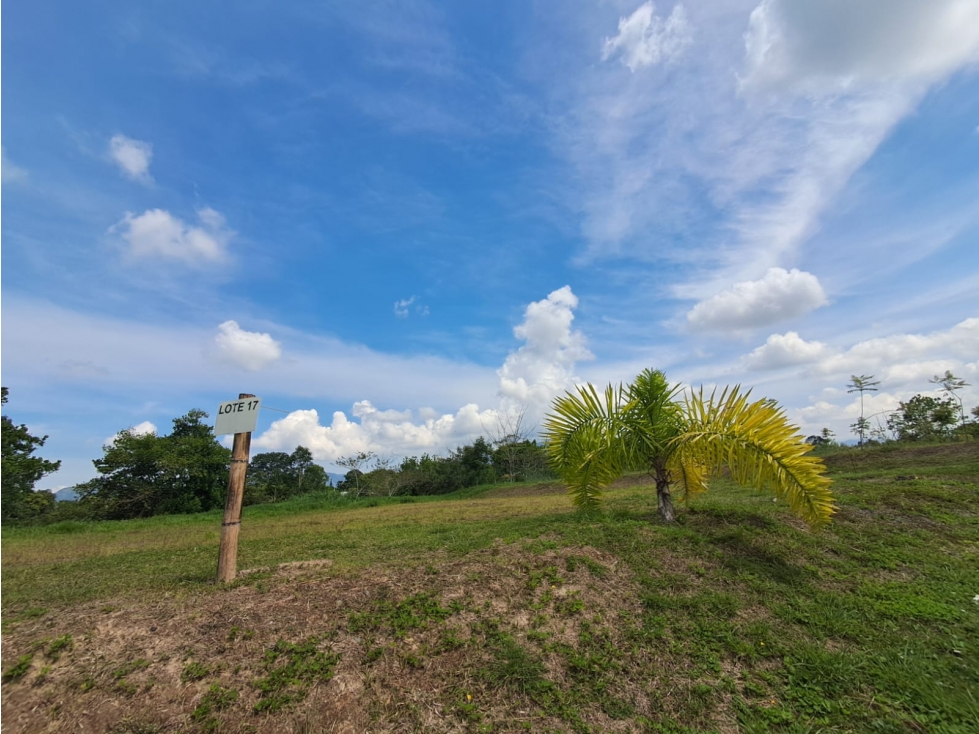 LOTES EN VENTA CONDOMINIO CAMPESTRE — foto 2