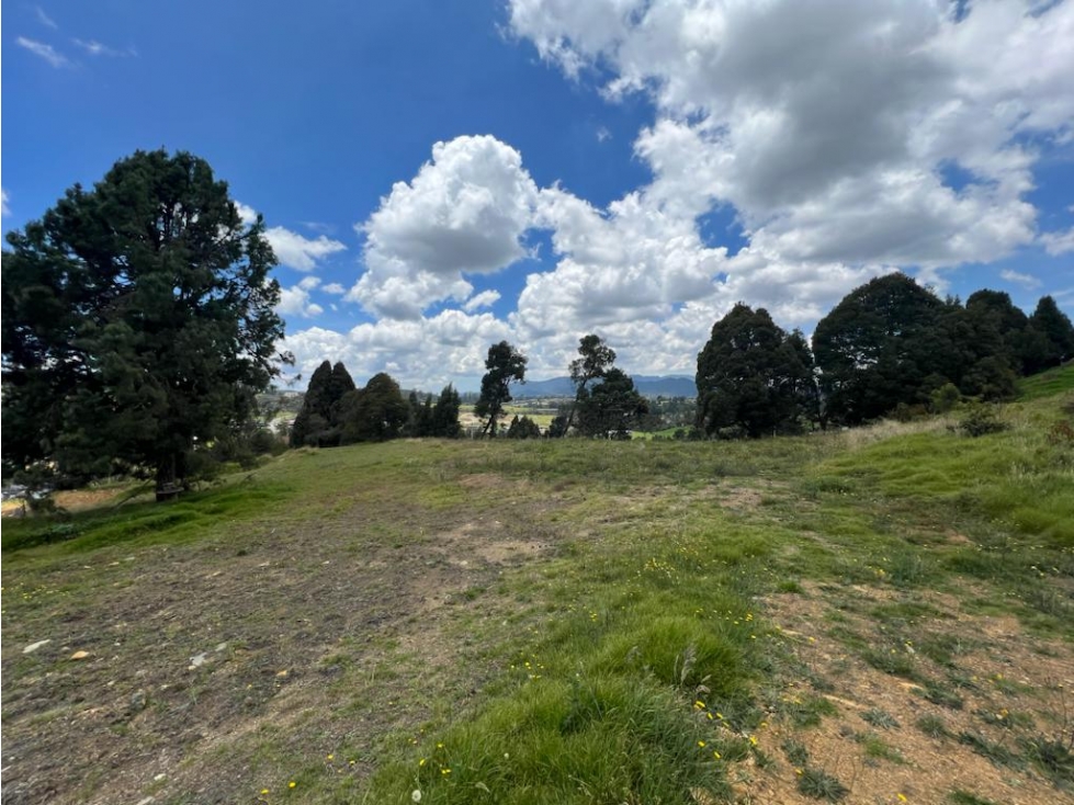 Venta de lote en Envigado, sector Alto de las Palmas — foto 2