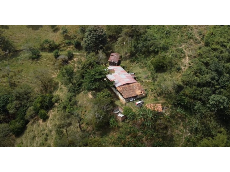 FINCA SANTUARIO — foto 6