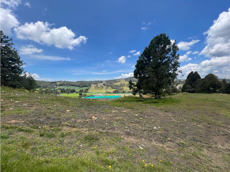 Venta de lote en Envigado, sector Alto de las Palmas — foto 3