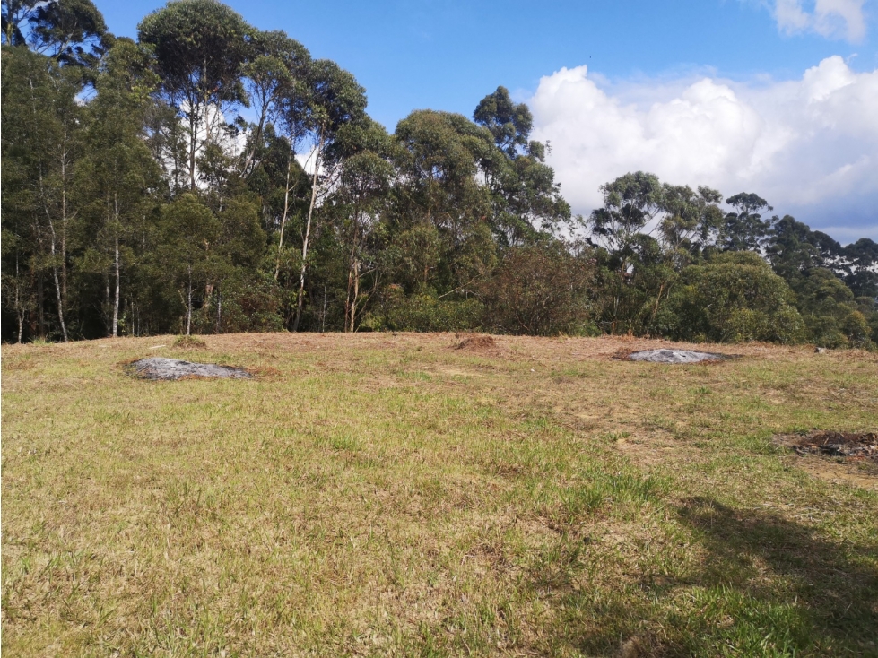 Excelente lote en venta en Rionegro, V. Los Pinos — foto 3