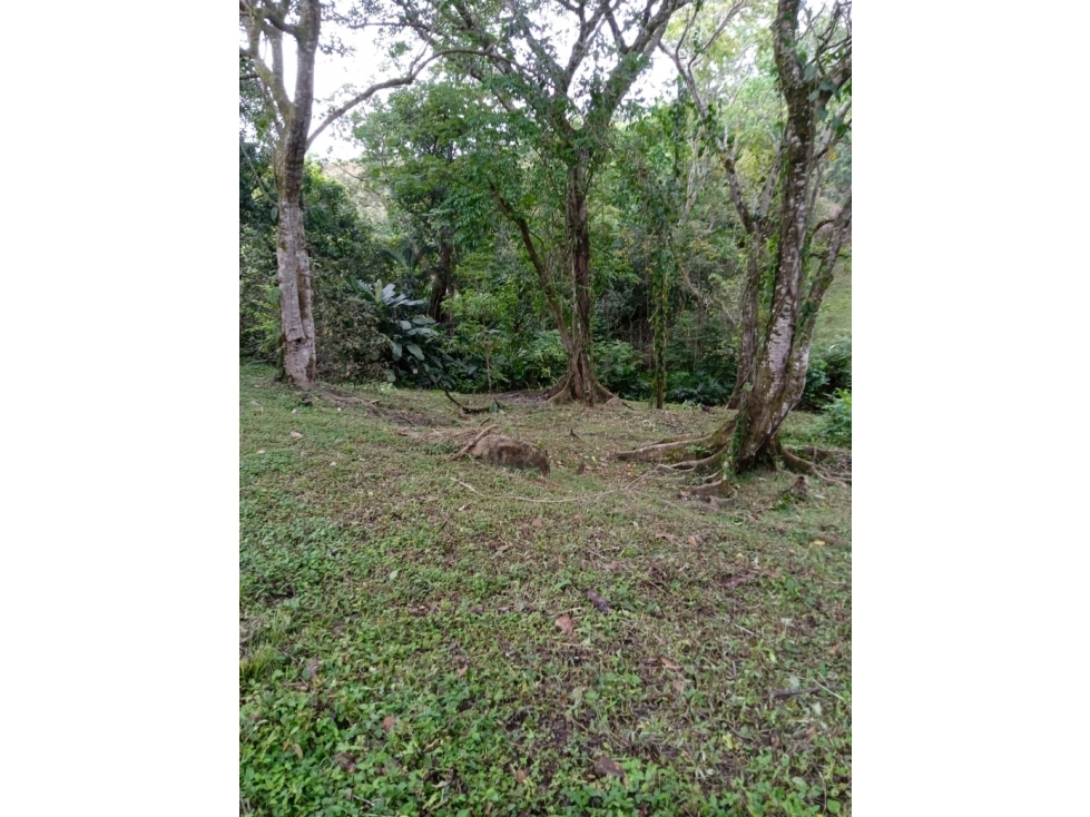 En venta lote en San Jerónimo, excelente ubicación - 5