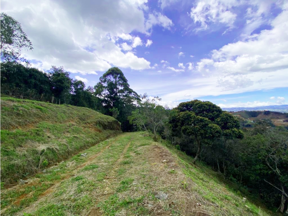 Venta de lote en Sector Sajonia, Rionegro. La vista mas hermosa! — foto 4