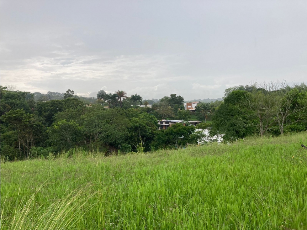 LOTE EN VENTA CERRITOS — foto 3