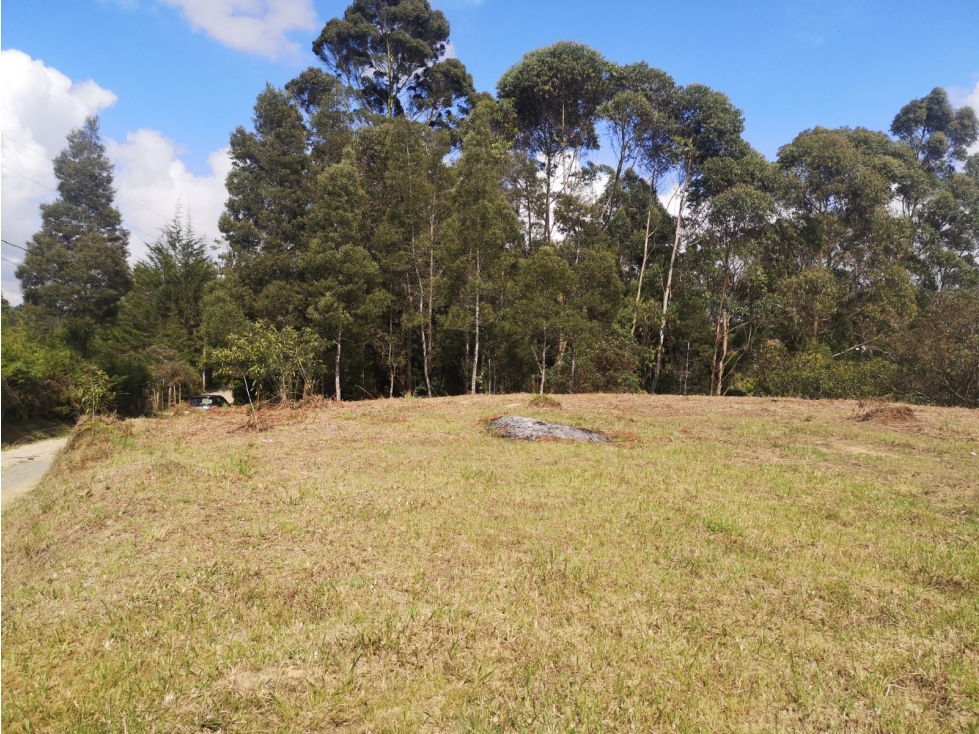 Excelente lote en venta en Rionegro, V. Los Pinos — foto 4