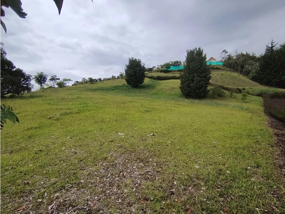 Lote esquinero en Llanogrande ocn espectacular vista — foto 4