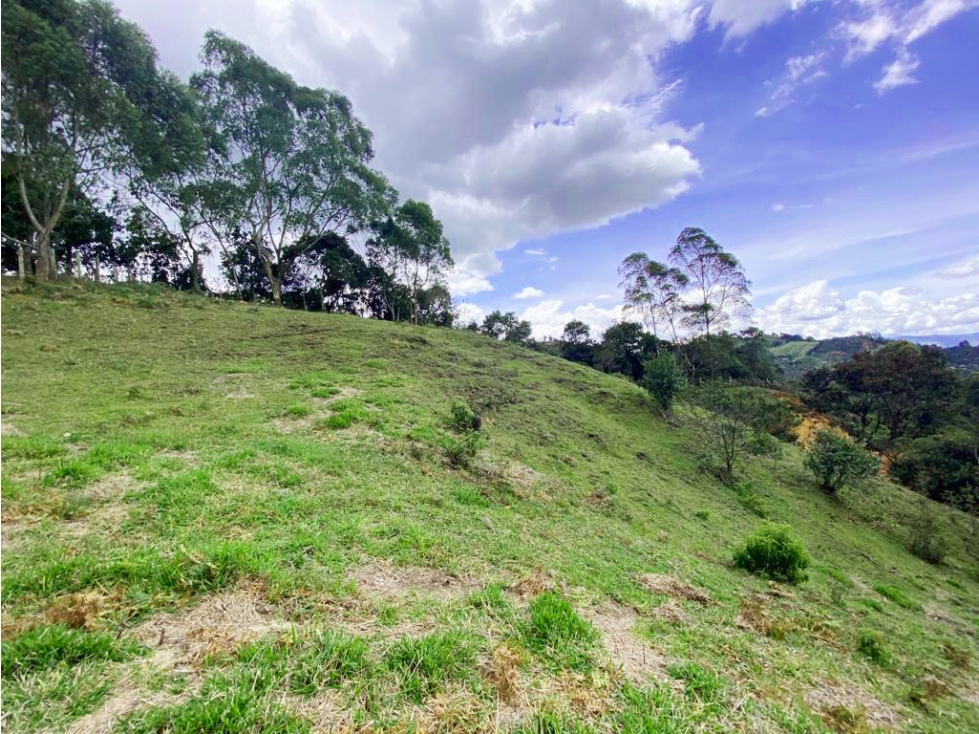 Venta de lote en Sector Sajonia, Rionegro. La vista mas hermosa! — foto 5