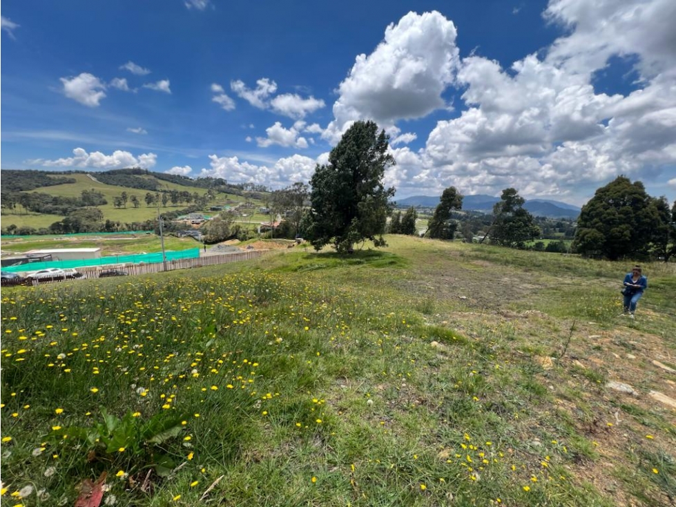 Venta de lote en Envigado, sector Alto de las Palmas — foto 5