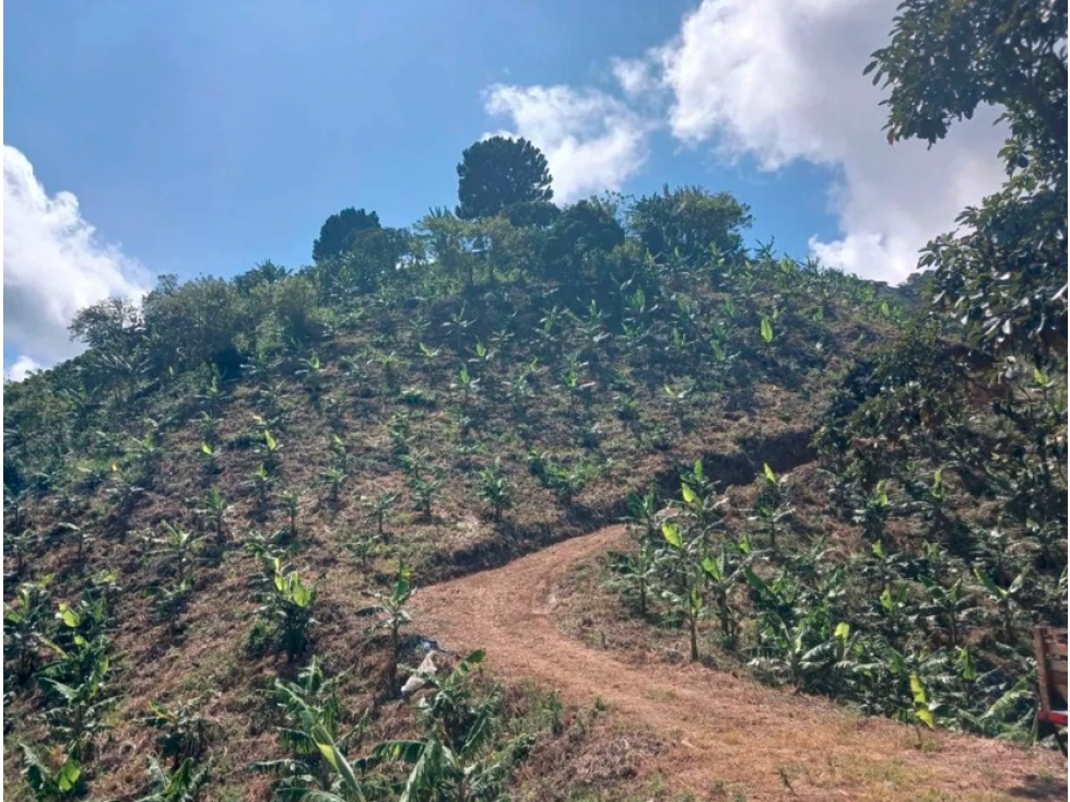 FINCA SANTUARIO — foto 2
