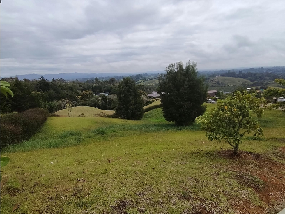 Lote esquinero en Llanogrande ocn espectacular vista — foto 5