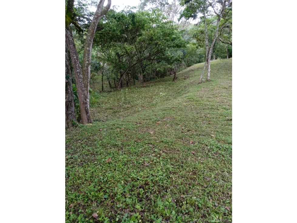 En venta lote en San Jerónimo, excelente ubicación - 3