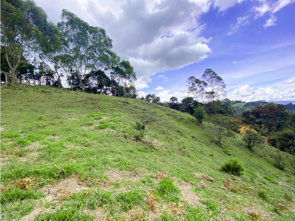 Venta de lote en Sector Sajonia, Rionegro. La vista mas hermosa! — foto 6