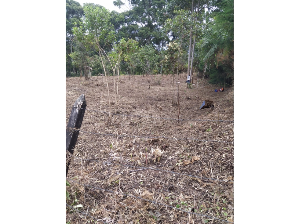 Lote en venta en rionegro excelente sector V. Los Pinos — foto 6