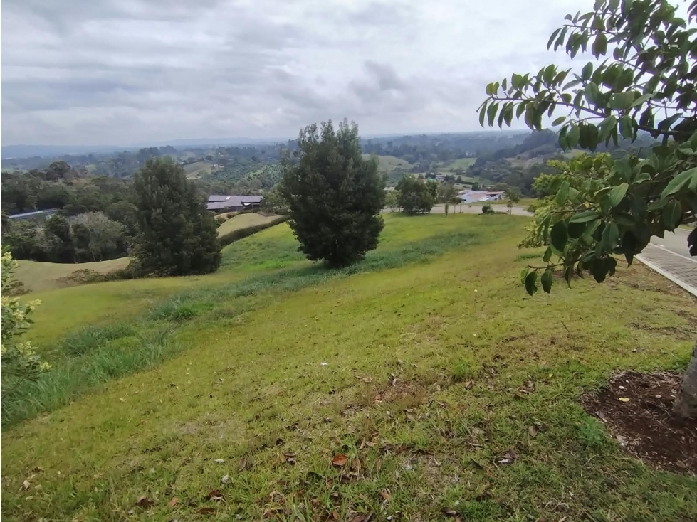 Lote esquinero en Llanogrande ocn espectacular vista — foto 6