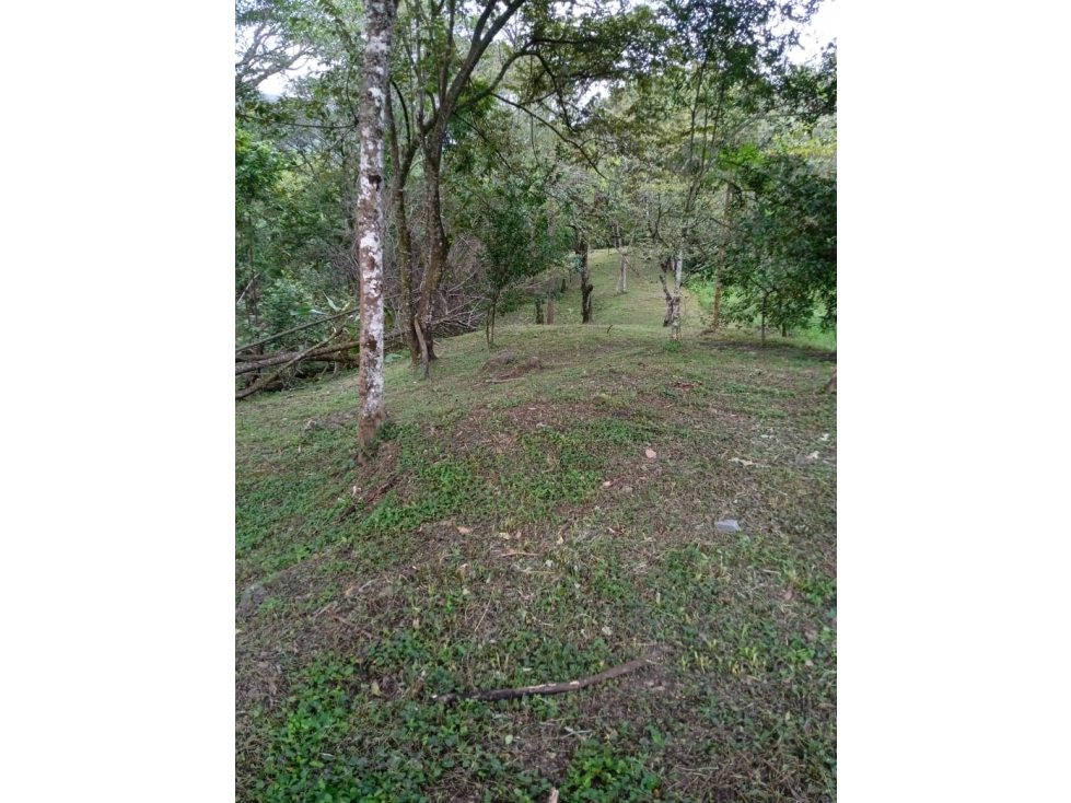 En venta lote en San Jerónimo, excelente ubicación - 1