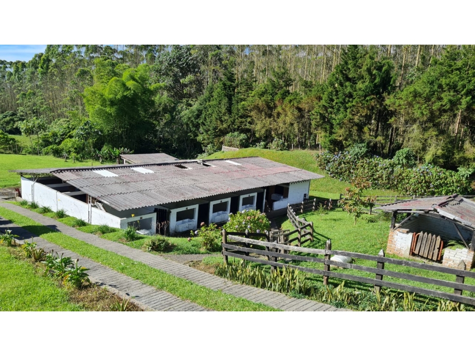 VENDO ESPECTACULAR FINCA HOTEL EN UN HERMOSO SITIO CERCA A PEREIRA — foto 5