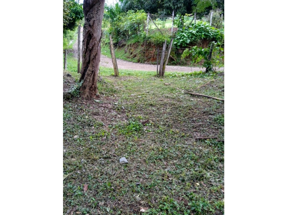 En venta lote en San Jerónimo, excelente ubicación - 2