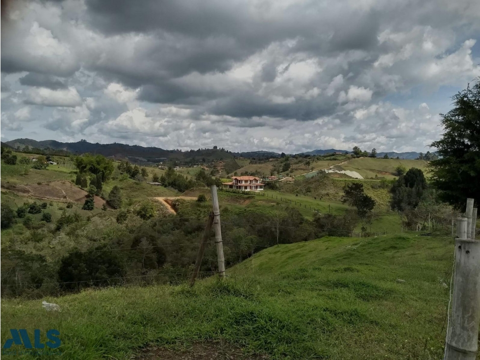 SAN VICENTE FINCA CON GRAN EXTENSION — foto 4