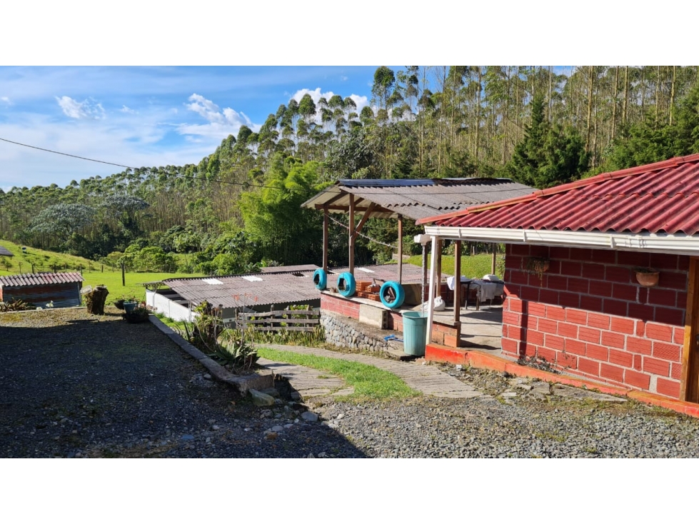 VENDO ESPECTACULAR FINCA HOTEL EN UN HERMOSO SITIO CERCA A PEREIRA — foto 4